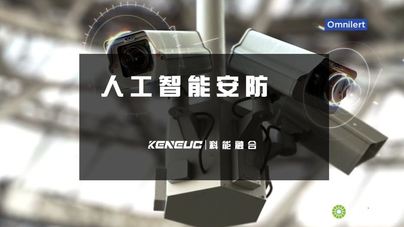 智能算法批发：揭秘其优缺点与适用场景