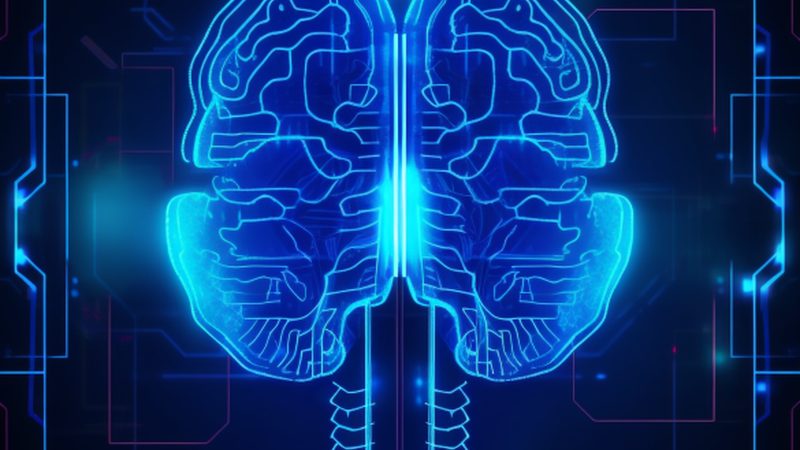 智能语音控制系统：分类与关键应用场景解析**